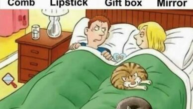 Only Sharp Eyes Can Spot the 4th Object in This Puzzle