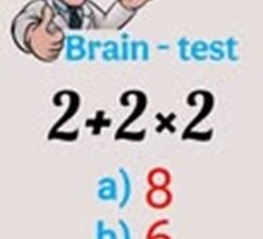 Math Brain Test: The Correct Answer to 2 + 2 × 2
