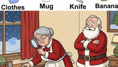 Can You Spot the 4th Object in This Clever Visual Challenge? 👀