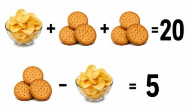 Step-by-Step Puzzle Solution
