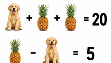 Can You Solve the Puppy and Pineapple Puzzle? Step-by-Step Explanation