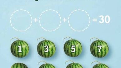 What total should the 3 watermelons add up to?