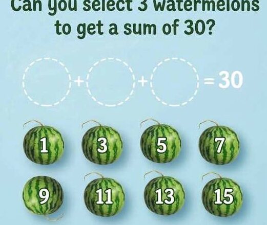 What total should the 3 watermelons add up to?