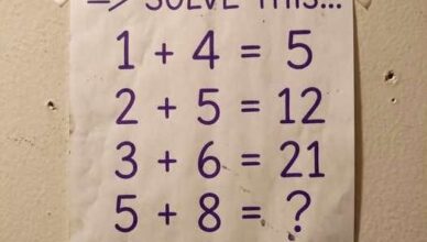 Think You’re Good at Math? Prove It! 📚