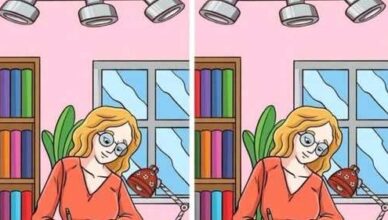 One Difference. One Challenge. Can You Find It?