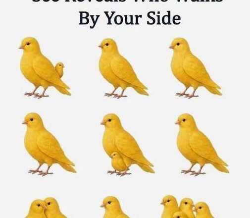Count the Canaries and Discover Who Truly Walks With You