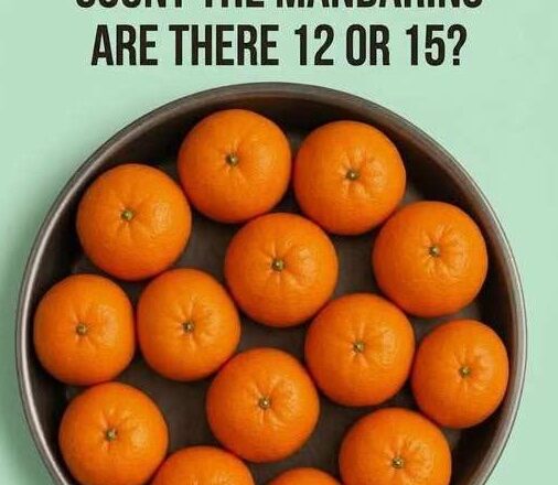 🍊 EYE TEST: Count the Mandarins!