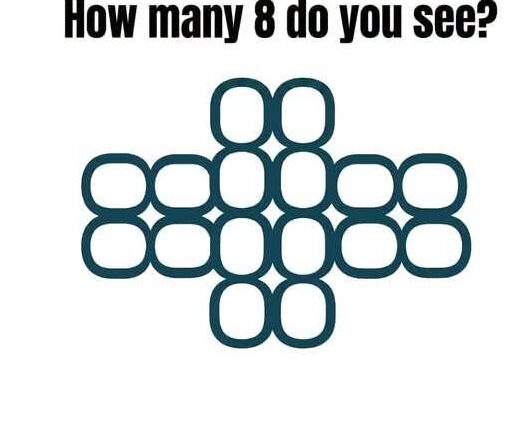 Visual Puzzle: How Many 8s Are There?