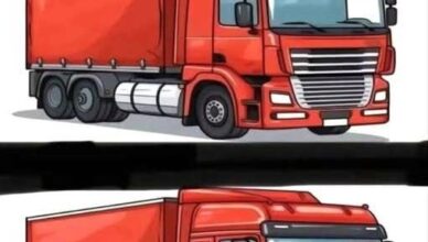Can You Spot the Hidden Difference in This Red Cargo Truck?