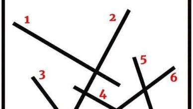 Which Line Looks the Longest? 👀 Only the Sharpest Eyes Get It Right!