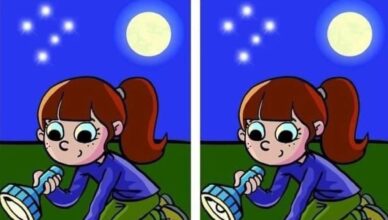 Can you find the one tiny difference hidden in this nighttime puzzle?