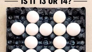 Most people immediately choose 13 or 14… and that’s exactly what this puzzle wants you to do! 😲