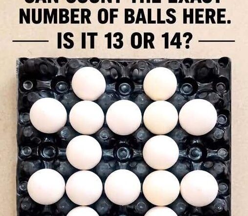 Most people immediately choose 13 or 14… and that’s exactly what this puzzle wants you to do! 😲