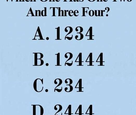 🧩 Test Your Logic: Which One Contains 1, 2, 3 & 4?