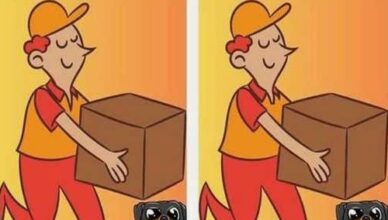 🤔 One Tiny Difference Is Hiding in This Scene—Can You Spot It?