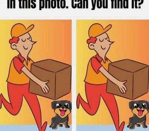 🤔 One Tiny Difference Is Hiding in This Scene—Can You Spot It?