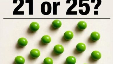 🟢 It’s NOT 21 or 25! Can You Count All the Peas Correctly? 👀