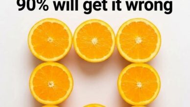 🍊 How Many Oranges Are Really in This Picture? Almost Everyone Gets It Wrong!