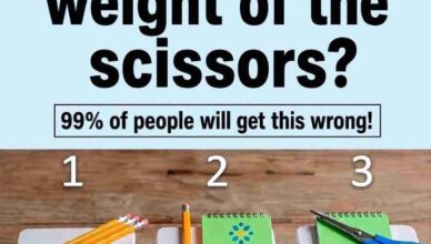 What Is the Weight of the Scissors? ✂️🧠