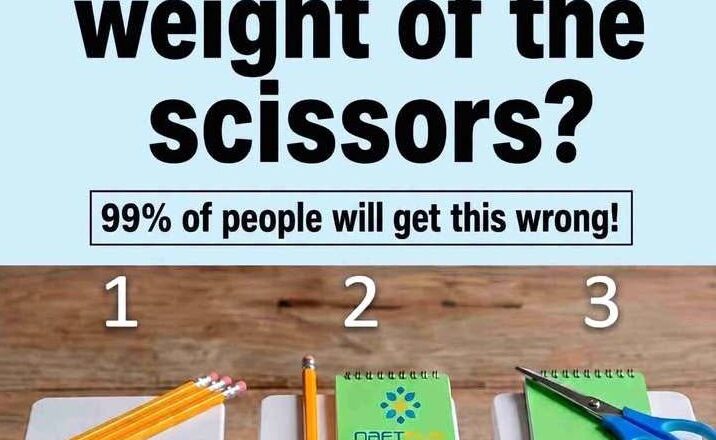 What Is the Weight of the Scissors? ✂️🧠