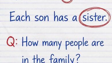 👀 How Many People Are in the Family? Only Sharp Eyes Will Notice the Clue!