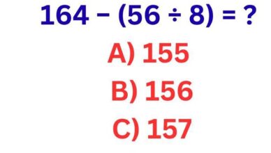 Can You Solve This Simple Math Puzzle Without Making a Mistake? 🧠🔢