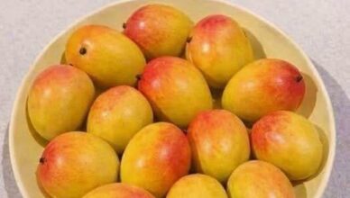 Can You Count the Mangoes Correctly? Most People Can’t! 😲