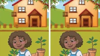 Spot 1 Difference in This Sunny Garden Puzzle! Can You Find It?