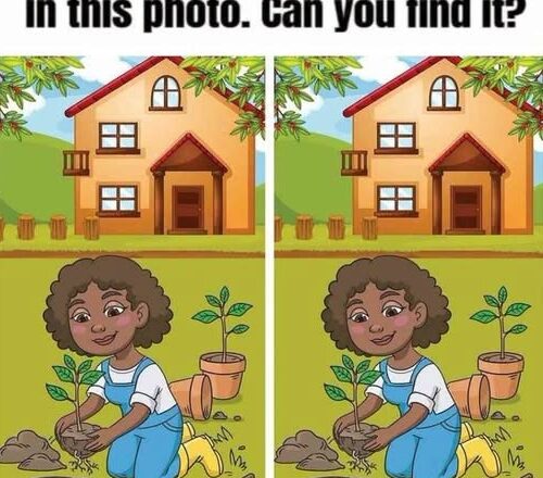 Spot 1 Difference in This Sunny Garden Puzzle! Can You Find It?