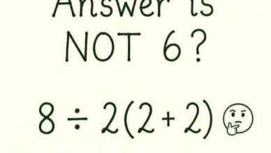 Is the Answer Really NOT 6? Solve This Tricky Math Puzzle!