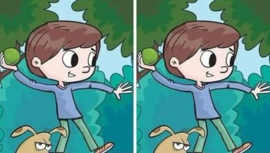 One Tiny Difference Is Hiding—Can You Find It Before Everyone Else?