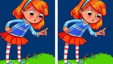 The Mad Girl and Her Wiener Dog: Can You Find the 1 Hidden Difference?