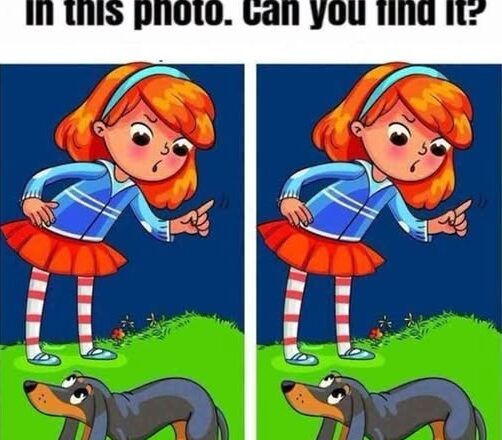 The Mad Girl and Her Wiener Dog: Can You Find the 1 Hidden Difference?
