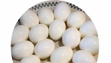 Don’t Let Your Eyes Fool You: Count the Eggs Challenge!