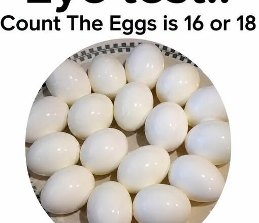 Don’t Let Your Eyes Fool You: Count the Eggs Challenge!