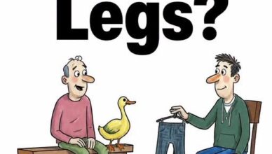 Look carefully at the picture and count all the legs. It may seem easy at first, but this puzzle is designed to trick your eyes!Take you