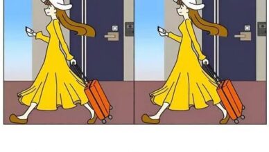 90% of People Miss These! Can You Find the 3 Hidden Differences? 😲