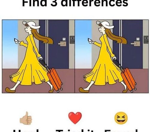 90% of People Miss These! Can You Find the 3 Hidden Differences? 😲