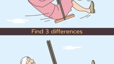 Look closely — they may seem identical at first, but three clever changes are waiting to be found!