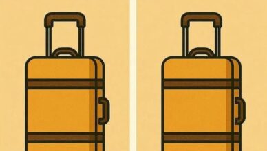 Spot the Difference: The Suitcase Challenge That Stumps Almost Everyone!
