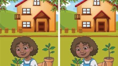 A beautiful garden scene is hiding one tiny difference. Can you find it before anyone else?Take