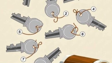 Only One Key Opens the Chest — Can You Find It?