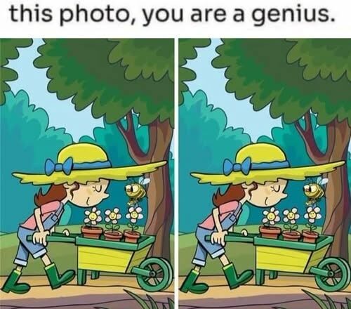 Take a close look and test your observation skills!Answer: