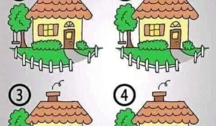 🏠 Which House Is Different?