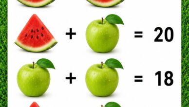 🍉🍏 Can You Solve This Fruit Puzzle?
