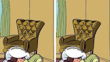 Can You Spot the One Hidden Difference? 🧸💤