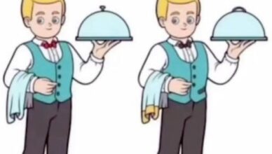 “Most People Can’t Find All 6 Differences. Can You?”