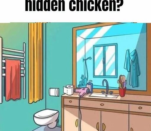 Spot the Hidden Chicken.