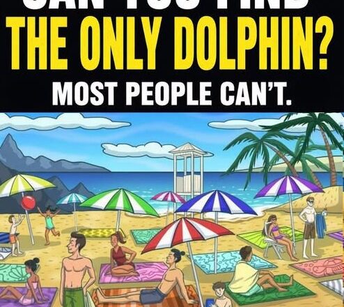 Can You Spot the Only Hidden Dolphin? 🐬