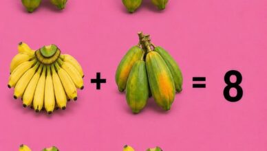 Can You Solve This Fruit Puzzle?